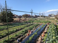 PXL_20220108_014337167.MP