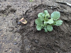 PXL_20250211_005246626