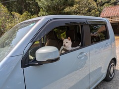 PXL_20250419_020001807