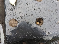 PXL_20221010_003931113.MP