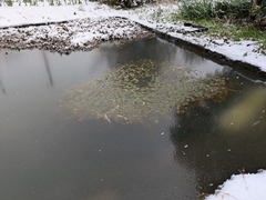 PXL_20250207_012959105.MP