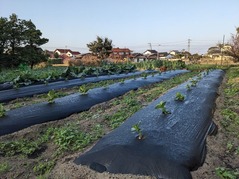 PXL_20221209_230459330