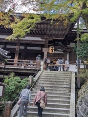 PXL_20241118_014330180