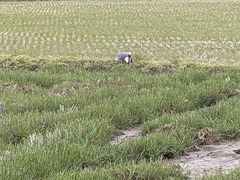 PXL_20240330_222831893