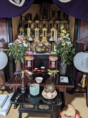 PXL_20240813_233516484