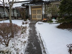 PXL_20250209_014953936