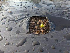 PXL_20221115_230536810