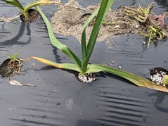 PXL_20230220_072945323