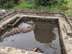 PXL_20240408_044946359