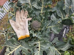 PXL_20220110_014128440