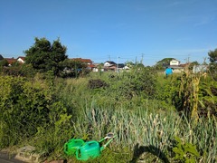 PXL_20250816_224113562