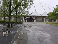 PXL_20250422_211907402