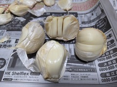 PXL_20231110_231200827