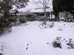 PXL_20260121_221645740.MP