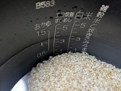 PXL_20260117_214031831.MP