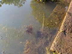 PXL_20240531_212910975