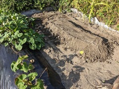 PXL_20230723_074729441