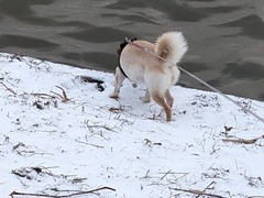 PXL_20250109_231337124.MP