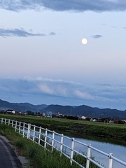 PXL_20230829_094145297