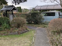 PXL_20250206_233707740