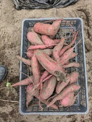 PXL_20230907_005048364