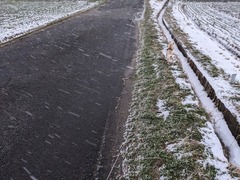 PXL_20240124_073905252