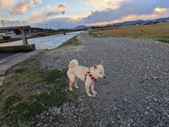 PXL_20260101_225111382