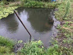 PXL_20210706_231325470