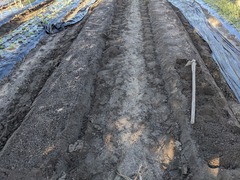 PXL_20241107_233135553