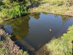 PXL_20220528_225554623