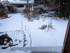 PXL_20230127_222934464