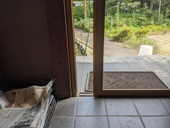 PXL_20240718_063521240