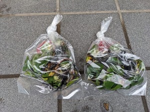 PXL_20210428_070630183