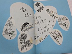 PXL_20250507_123354473