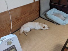 PXL_20240416_070303746