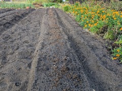 PXL_20251014_230003954