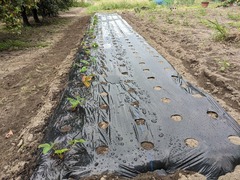 PXL_20230926_001542889