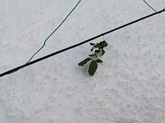 PXL_20230124_231430577.NIGHT