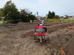 PXL_20251013_230216759