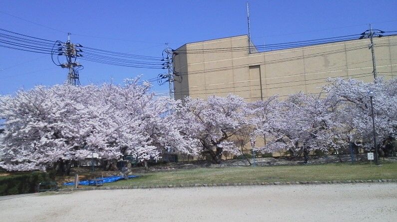 イメージ 2