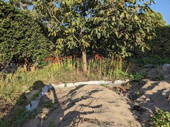 PXL_20241001_074339036