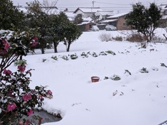 PXL_20260121_221903341