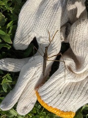 PXL_20220401_065819554