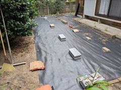 PXL_20250710_231947582