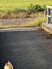 PXL_20230918_213930311