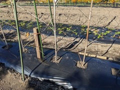 PXL_20241109_045309175