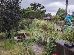 PXL_20241001_230113149