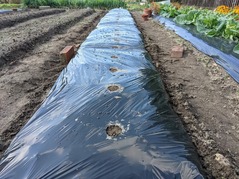 PXL_20211114_025506078