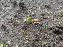 PXL_20211114_013005913