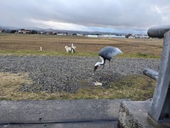 PXL_20250110_072403734